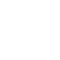 https://boschdiagnostics.com/sites/default/files/2025-03/flow-diagram.png