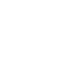 https://boschdiagnostics.com/sites/default/files/2026-02/security-lock.png