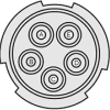 click to download this image