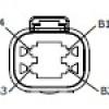 click to download this image